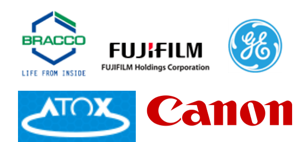 Major players in Japan Nuclear Imaging industry