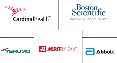 Coronary Guidewires Market Major Players