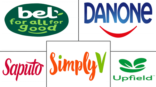 Europe Non-dairy Cheese Market Major Players