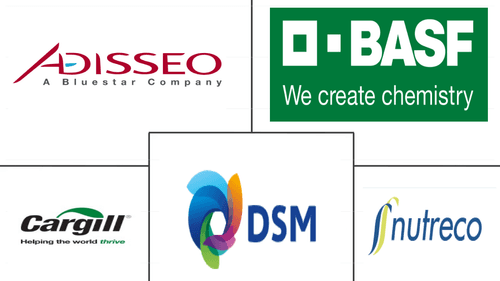 Asia-Pacific Feed Acidifiers Market Major Players