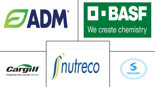 Asia-Pacific Feed Minerals Market Major Players