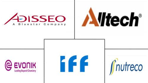 China Feed Amino Acids Market Major Players