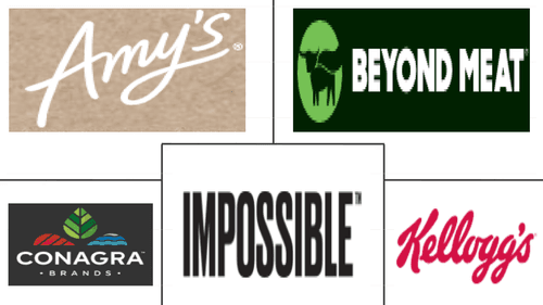 United States Meat Substitutes Market Major Players