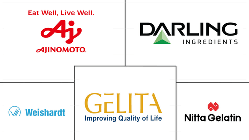 United States Gelatin Market Major Players