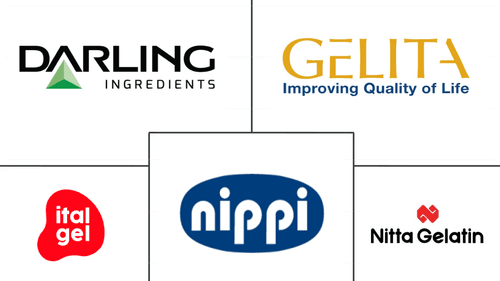 Collagen Market Major Players