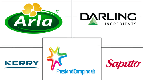 South America Animal Protein Market Major Players