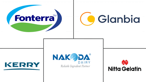 India Animal Protein Market Major Players