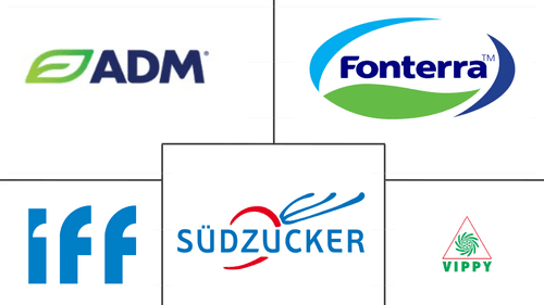 India Protein Market Major Players