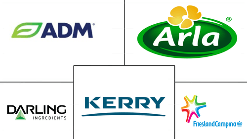 Germany Protein Market Major Players