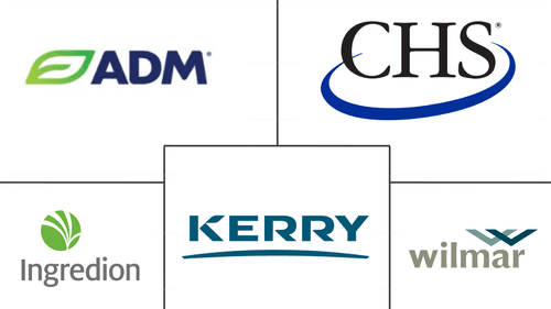 Germany Plant Protein Market Major Players