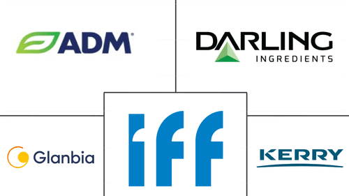 United States Protein Market Major Players