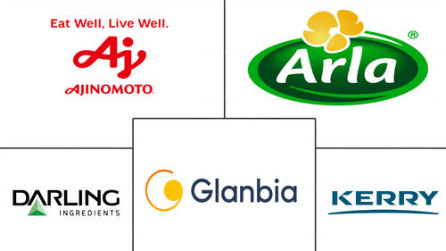 North America Animal Protein Market Major Players