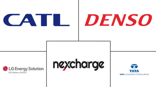 India EV Battery Pack Market Major Players