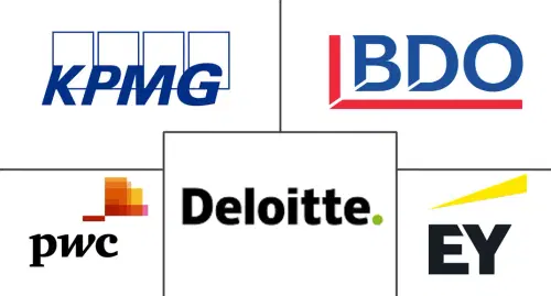 Mercado de Servicios Profesionales de Contabilidad Major Players