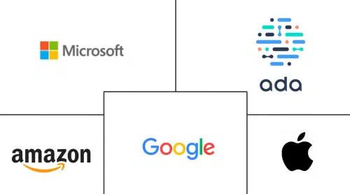 AI Virtual Companions In Healthcare Market Major Players