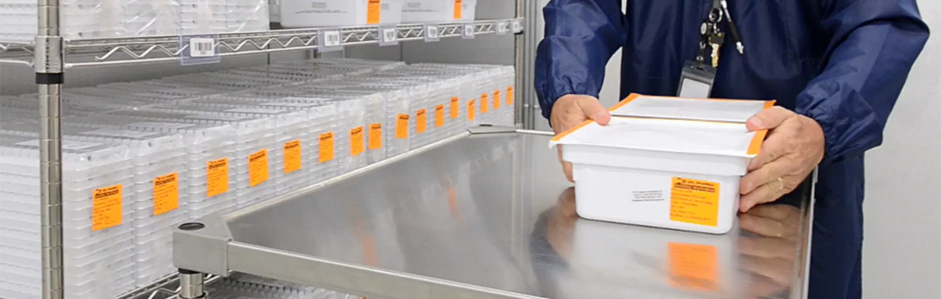 Seasonality Challenge