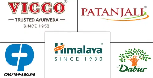 Markt für Ayurvedische Zahnpasta Major Players