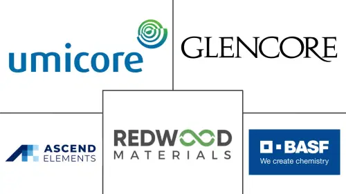 Battery Leaching Reagents Market Major Players