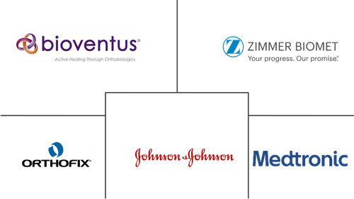 Bone Growth Stimulator Market Major Players