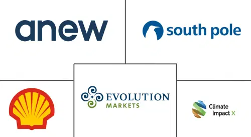 Carbon Credit Market Major Players
