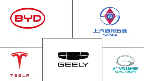 China Electric Car Market Major Players