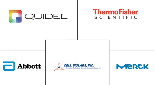 Creatinine Assay Kits Market Major Players