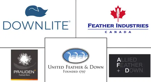 Down and Feather Market Major Players