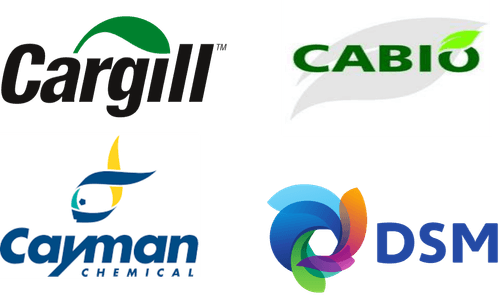 Europe Arachidonic Acid Market Major Players