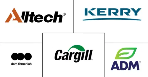Europe Feed Flavors and Sweeteners Market Major Players