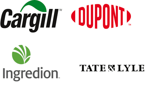 France Food Sweetener Market Major Players