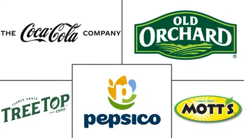 Apple Juice Market Major Players