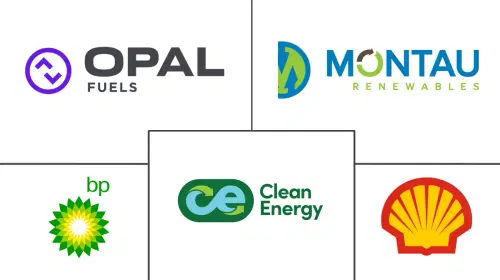 Renewable Natural Gas Market Major Players
