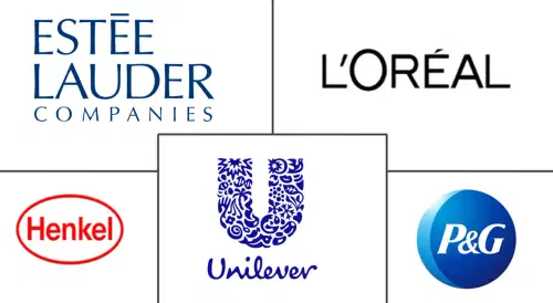 Hair Gel Market Major Players