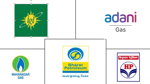 Mercado de GNC de India Major Players