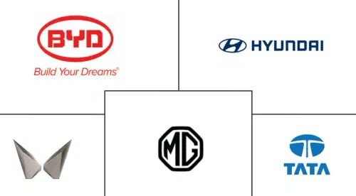 India Electric Car Market Major Players