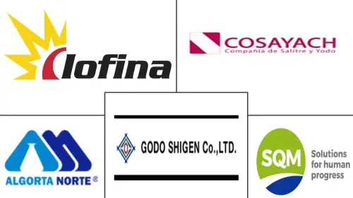 Iodine Market Major Players