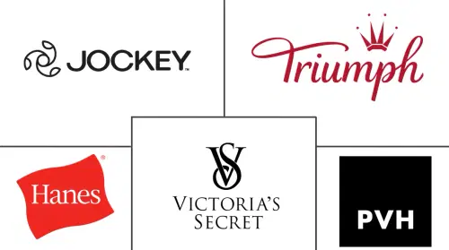 Lingerie Market Major Players