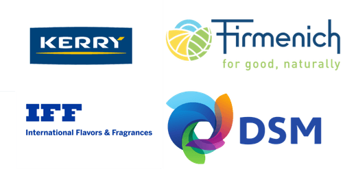 Meat Flavors Market Major Players