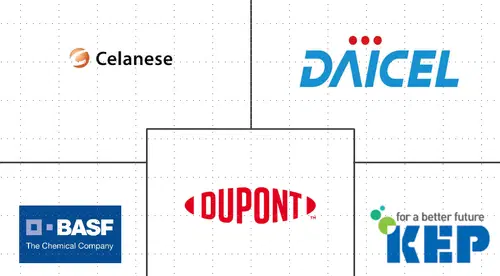 Medical Polyoxymethylene (POM) Market Major Players