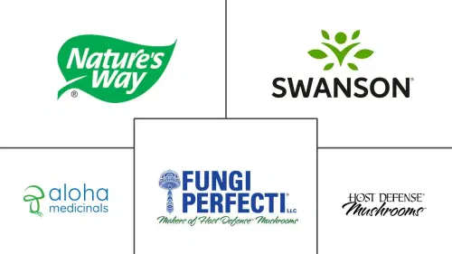 Medicinal Mushroom Market Major Players