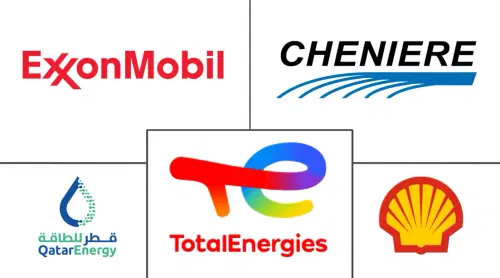 Mercado de Gas Natural Major Players