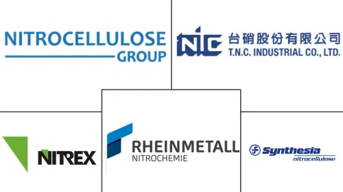 Nitrocellulose-Markt Major Players