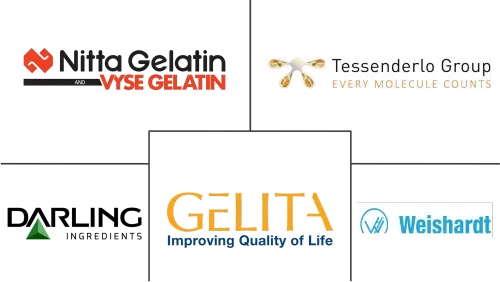 Pharmaceutical Gelatin Market Major Players