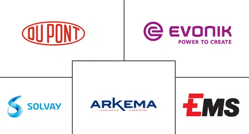 Polyphthalamide (PPA) Market Major Players