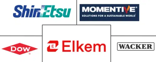 Silicone Market Major Players