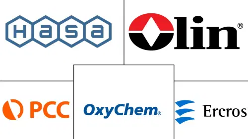 Marché du sodium hypochlorite Major Players