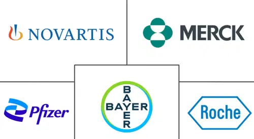 Soft Tissue Sarcoma Market Major Players
