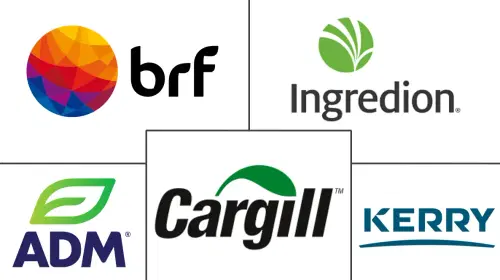 South America Protein Market Major Players