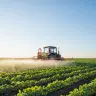 Agriculture Industry