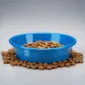 Animal Nutrition & Wellness Industry